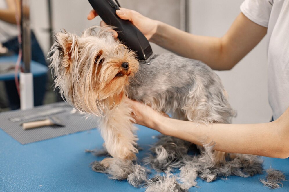 dog body clip